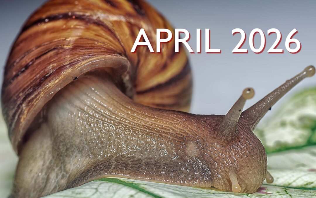 Message From The Principal – Newsletter 16 April 2026 